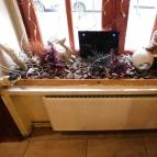 Bécsiszelet Vendéglő - József körút Budapest - Belső