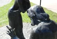 Beethoven & a Halhatatlan Kedves Martonvásár