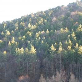 Begyeleg kilátó Mályinka - Külső kép