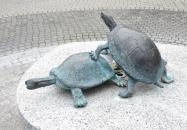 Békás csobogó Kiskunfélegyháza