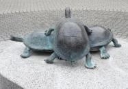 Békás csobogó Kiskunfélegyháza