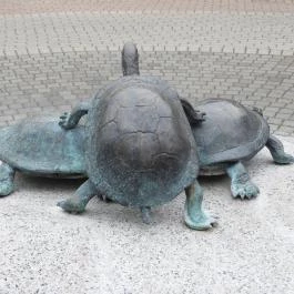 Békás csobogó, Kiskunfélegyháza - Egyéb