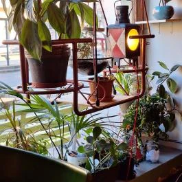 BÉLA - Bár, Étterem, Lakás, Arborétum Budapest - Belső