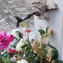 Béke királynéja templom és Mária kápolna Mátraszentimre - Egyéb