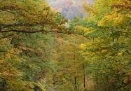 Belátó-kilátó Óbánya