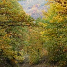 Belátó-kilátó Óbánya - Egyéb