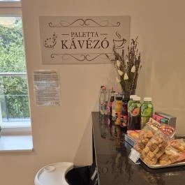 Benczúr-kúria, Szécsény - Egyéb