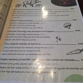 Beregszászi Étterem, Hajdúböszörmény - Étlap/itallap