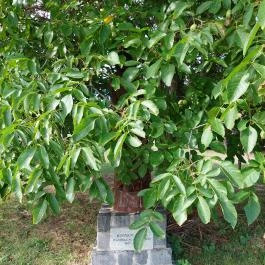 Béri Nemzeti Emlékhely, Bér - Egyéb