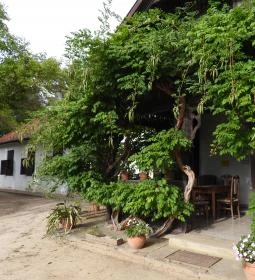 Berzsenyi Dániel Emlékház