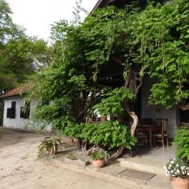 Berzsenyi Dániel Emlékház Nikla - Külső kép