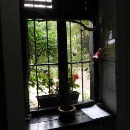 Berzsenyi Dániel Emlékház Nikla - Egyéb