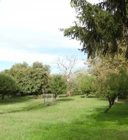 Berzsenyi Dániel Emlékház