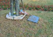 Beszédes József-szobor Dunaföldvár