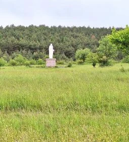 Betegek gyógyítója Mária-szobor