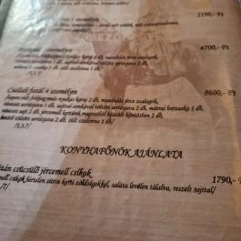 Betérő Csárda Mezőhegyes - Étlap/itallap