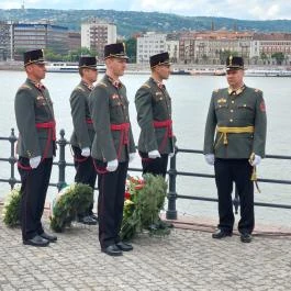 Bibó István mellszobra, Budapest - Egyéb