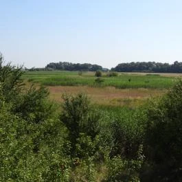 Bihari Madárvárta, Biharugra - Külső kép