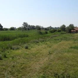 Bihari Madárvárta, Biharugra - Külső kép