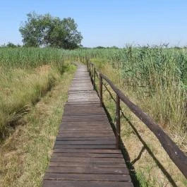 Bihari Madárvárta, Biharugra - Külső kép