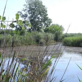 Bihari Madárvárta, Biharugra - Külső kép
