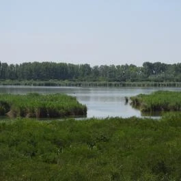 Bihari Madárvárta, Biharugra - Külső kép
