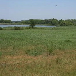 Bihari Madárvárta, Biharugra - Külső kép