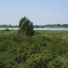 Bihari Madárvárta, Biharugra - Külső kép