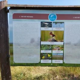 Bihari Madárvárta, Biharugra - Egyéb