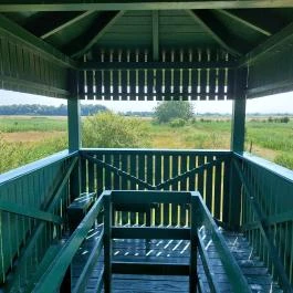 Bihari Madárvárta, Biharugra - Egyéb