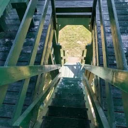 Bihari Madárvárta, Biharugra - Egyéb