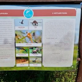 Bihari Madárvárta, Biharugra - Egyéb