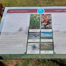 Bihari Madárvárta, Biharugra - Egyéb