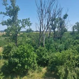 Bihari Madárvárta, Biharugra - Külső kép