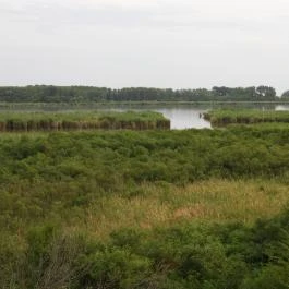 Bihari Madárvárta, Biharugra - Külső kép