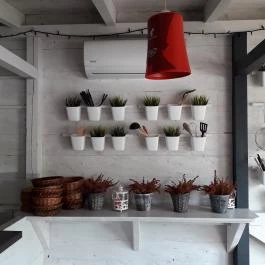 Bisztró 71 Révfülöp - Belső