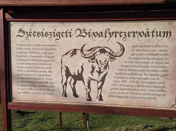 Bivalyrezervátum Szécsisziget