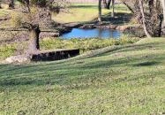 Bivalyrezervátum Szécsisziget