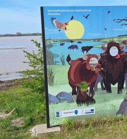 Bivalyrezervátum Mórahalom