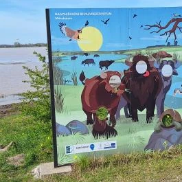 Bivalyrezervátum Mórahalom Mórahalom - Egyéb