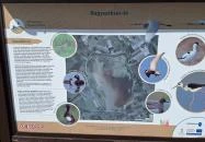 Bivalyrezervátum Mórahalom Mórahalom