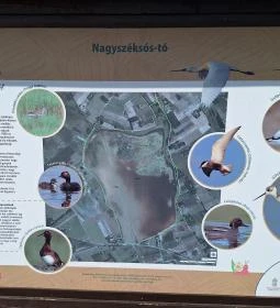 Bivalyrezervátum Mórahalom