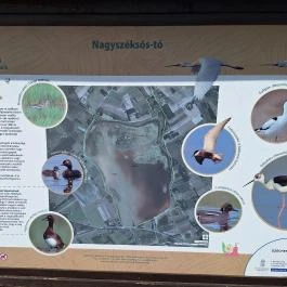 Bivalyrezervátum Mórahalom Mórahalom - Egyéb