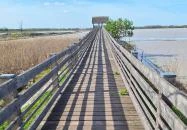 Bivalyrezervátum Mórahalom Mórahalom