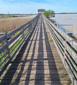 Bivalyrezervátum Mórahalom