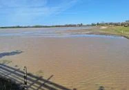 Bivalyrezervátum Mórahalom Mórahalom