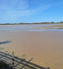 Bivalyrezervátum Mórahalom