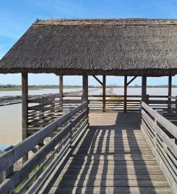 Bivalyrezervátum Mórahalom