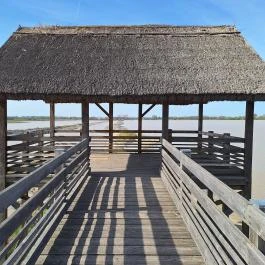 Bivalyrezervátum Mórahalom Mórahalom - Egyéb