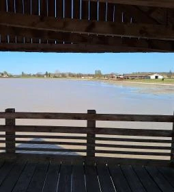 Bivalyrezervátum Mórahalom